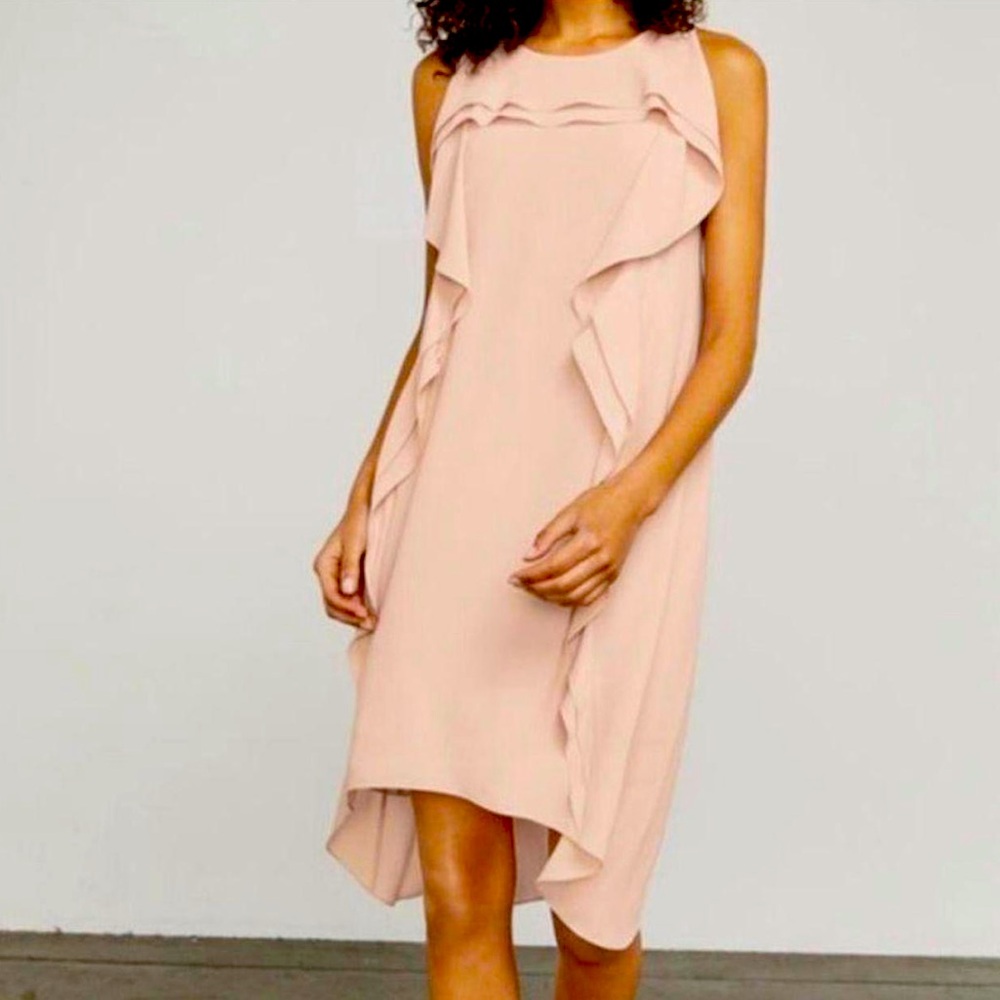 BCBG Blush pink fluttering dress